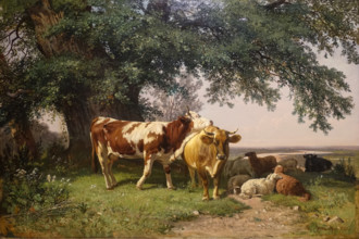 Herd under the trees