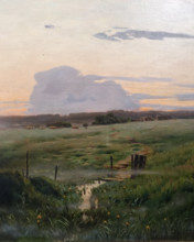 Landscape