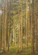 Coniferous forest
