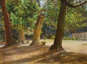 Oaks and Plane trees
