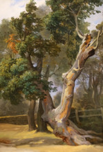 Trees
