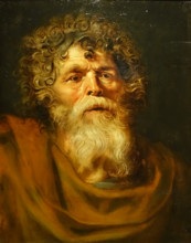 Head of an old man by Pieter Pauwel Rubens (1577–1640)