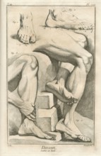 Encyclopv©die di Denis Diderot e Jean Baptiste Le Rond d'Alambert (1751-1772). TIII-PL XIII Dessein. Gambe e piedi