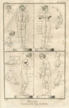 Encyclopv©die di Denis Diderot e Jean Baptiste Le Rond d'Alambert (1751-1772). TIII-PL XXXVIII Dessein. Proporzioni della Venere dei Medici