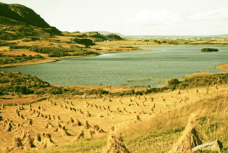 Traditional faming landscape with stooks haystacks.