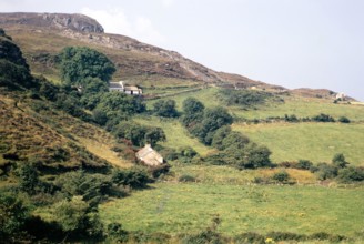 Traditional crofting farming landscape.