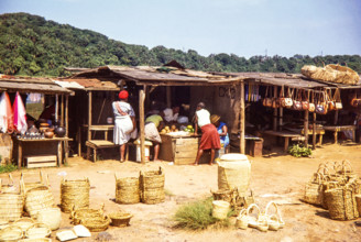 Woman at local market selling fruit and handicrafts including baskets.