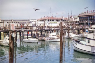 Fisherman's Wharf, San Francisco, 1976