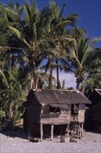 PHILIPPINES, Mindoro Island, Melco thatched wooden beach house on stilts with tall palms behind