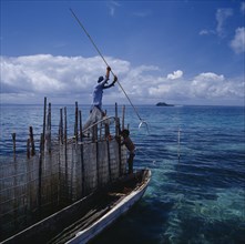 INDONESIA, Irian Jaya, Sorong, "Fisherman on fishtrap on boat spearing fish, long pole,boy,coral "