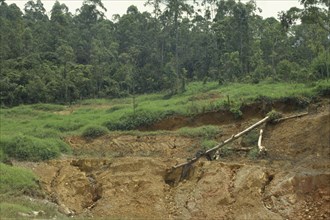 BRAZIL, Minas Gerais, Soil erosion caused by deforestation of the amazon rainforest.