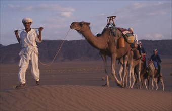 MOROCCO, Zagora Camel Trek, Guide leads Camels through the Desert