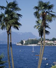 ITALY, Piedmont, Lake Maggiore, View through to palms on Stresa waterfront across the lake towards