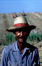 CUBA, Pinar del Rio, Portrait of a sugar worker in field wearing a straw hat