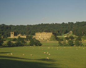 ENGLAND, Derbyshire, Chatsworth House, View towards exterior facade over grazing sheep in pasture