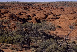 AUSTRALIA, Northern Territory, Kings Canyon, View over red rock canyon with trees in the foreground