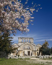 SYRIA, Near Aleppo, Qalaat Samaan, The Basilica of St Simeon.  Ruins with tree in blossom in the