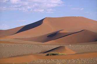 NAMIBIA, Namib Desert, Desert landscape of sand dunes with a herd of gazelle grazing