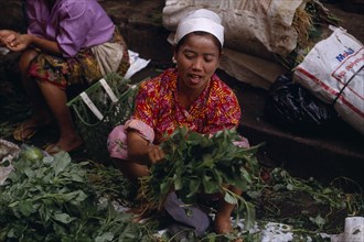 INDONESIA, Sumatra , Bukittinggi, Female vendors in vegetable market.