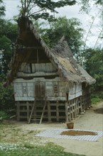 INDONESIA,  , Sumatra, Traditional Batak house with grain drying on mats outside near Lake Toba.
