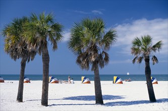 USA, Florida, Clearwater, Four palm trees in front of sun loungers on the beach