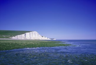 ENGLAND, East Sussex, Birling Gap, Seven Sisters chalk cliffs seen across seaweed covered rocks at