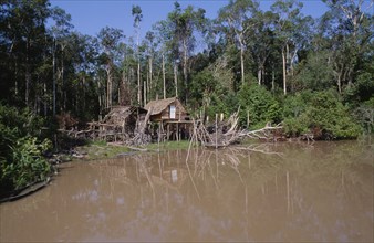 BORNEO, Jungle, Riverside stilt houses in small clearing