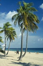 USA, Florida , Fort Lauderdale, Quiet sandy beach lined with palm trees overlooked by lifeguard