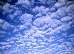 WEATHER, Clouds , White fluffy clouds in blue sky.