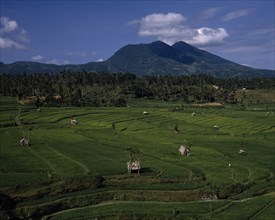 INDONESIA, BALI, View over green paddy fields with palm forest and mountains in the distance