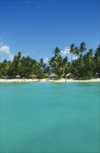WEST INDIES, Tobago, Pigeon Point, Coconut palm tree lined beach with thatched sun shades and