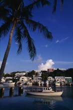 BERMUDA, Flatts Village, "Old motor boat moored in harbour under palm tree, waterside buildings and