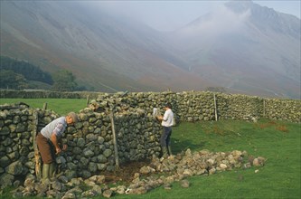 ARCHITECTURE,  , Walls, Men reparing drystone wall Wasdale Head Lake District