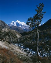 NEPAL, Sagarmatha National Park, Himalayan mountains.  Valley with stream and trees and snow