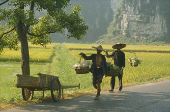 CHINA, Yangshou, Farming, Men walking on a road past  paddy fields carrying goods on poles over