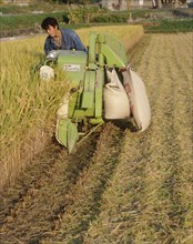 JAPAN, Honshu, Kyoto, Man harvesting rice by machine