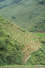 CHINA, Guangxi Province, Agriculture, View over rice terraces on steep hillside.