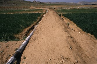 JORDAN, Water, Waste water re-use project.  Pipeline through cultivated area in the Jordanian