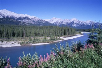 CANADA, Alberta, Banff national park, View over river toward forest against a backdrop of
