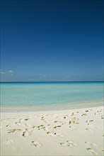 CUBA, Isla De Juventud, Cayo Largo, Playa Serena looking out to sea with footprints in the sand