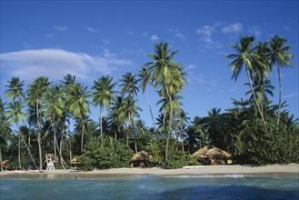 WEST INDIES  , Tobago, Pigeon Point, Beach with thatched huts and palm trees overlooking water.