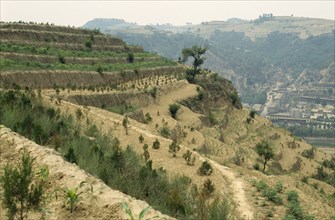 CHINA, Loess, Erosion on Loess hillside