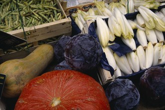 FRANCE, Market, "Vegetable display of chicory, green beans, squash, red cabbqge and pumpkin."