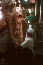 CUBA, Camaguey , Women working in abattoir stipping skinned hanging carcases