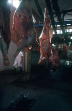 CUBA, Camaguey , Abattoir with hanging carcases being transported on a rack
