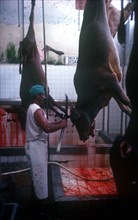 CUBA, Camaguey , Abattoir with man wearing long apron cutting away at hanging carcases with large