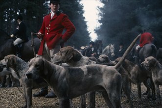 10069254 SPORT Equestrian  Fox Hunting Men in traditional dress standing with pack of hounds
