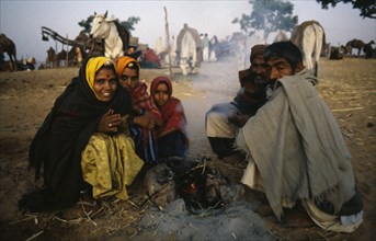 INDIA, Rajasthan , People, Rajasthani family huddled around small fire in desert area with cattle