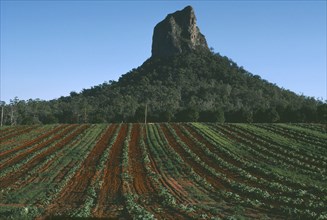 AUSTRALIA, Queensland, Mount Coonowrin, Cultivated land with trees and mountain behind.
