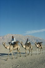 EGYPT, Luxor, Camel train in desert. 3 camels 2 riders hills behind